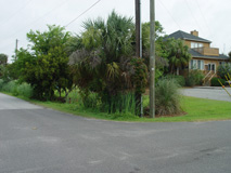 Sullivan's Island